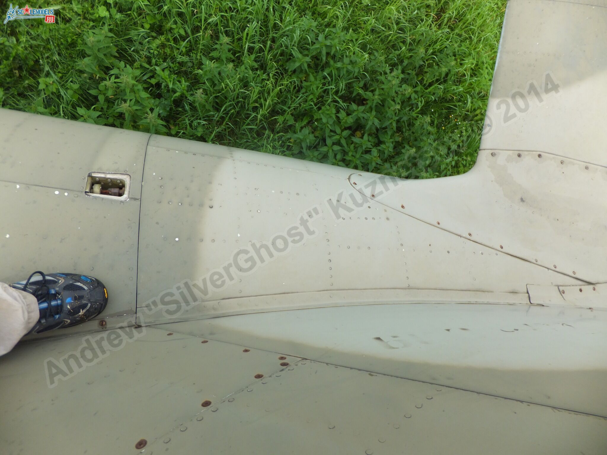 L-39_Albatros_120_0101.jpg