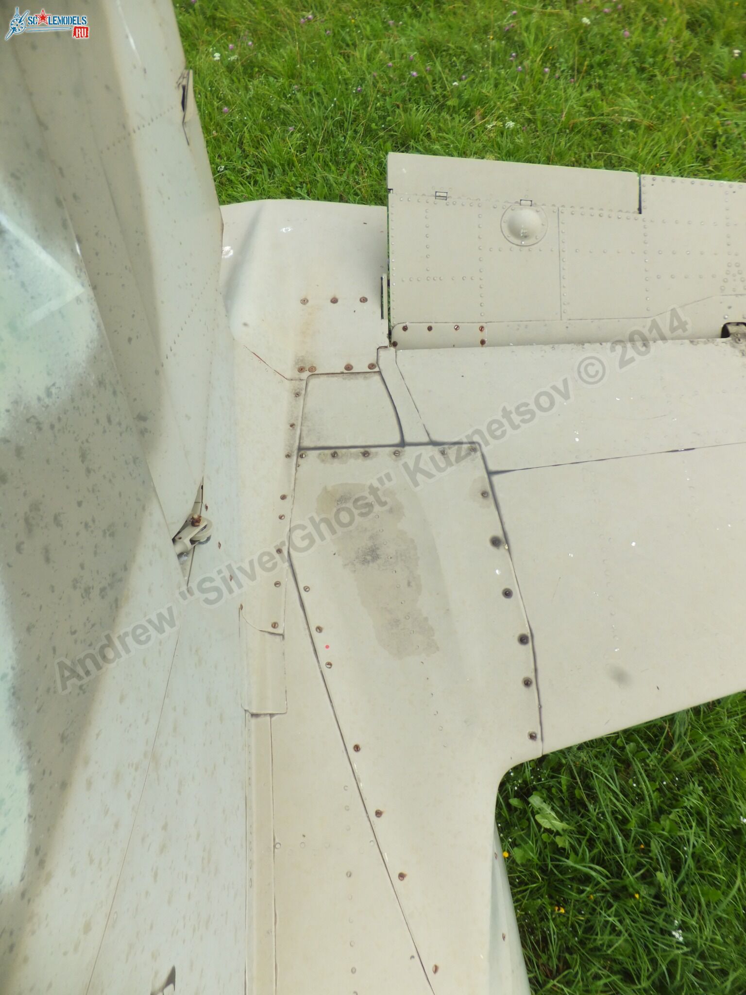 L-39_Albatros_120_0106.jpg