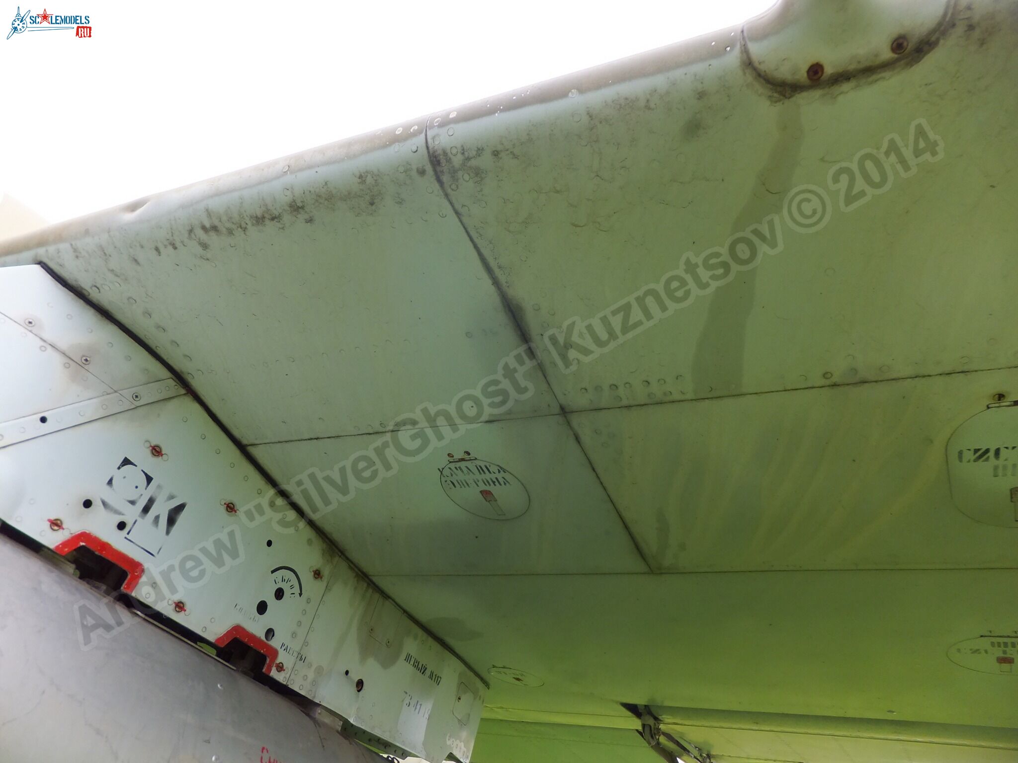 L-39_Albatros_120_0131.jpg
