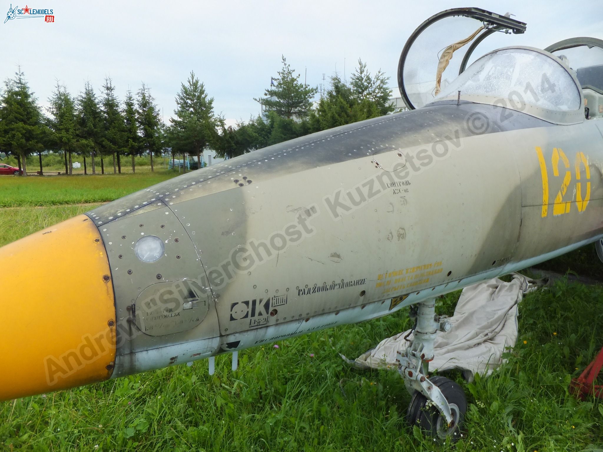 L-39_Albatros_120_0145.jpg