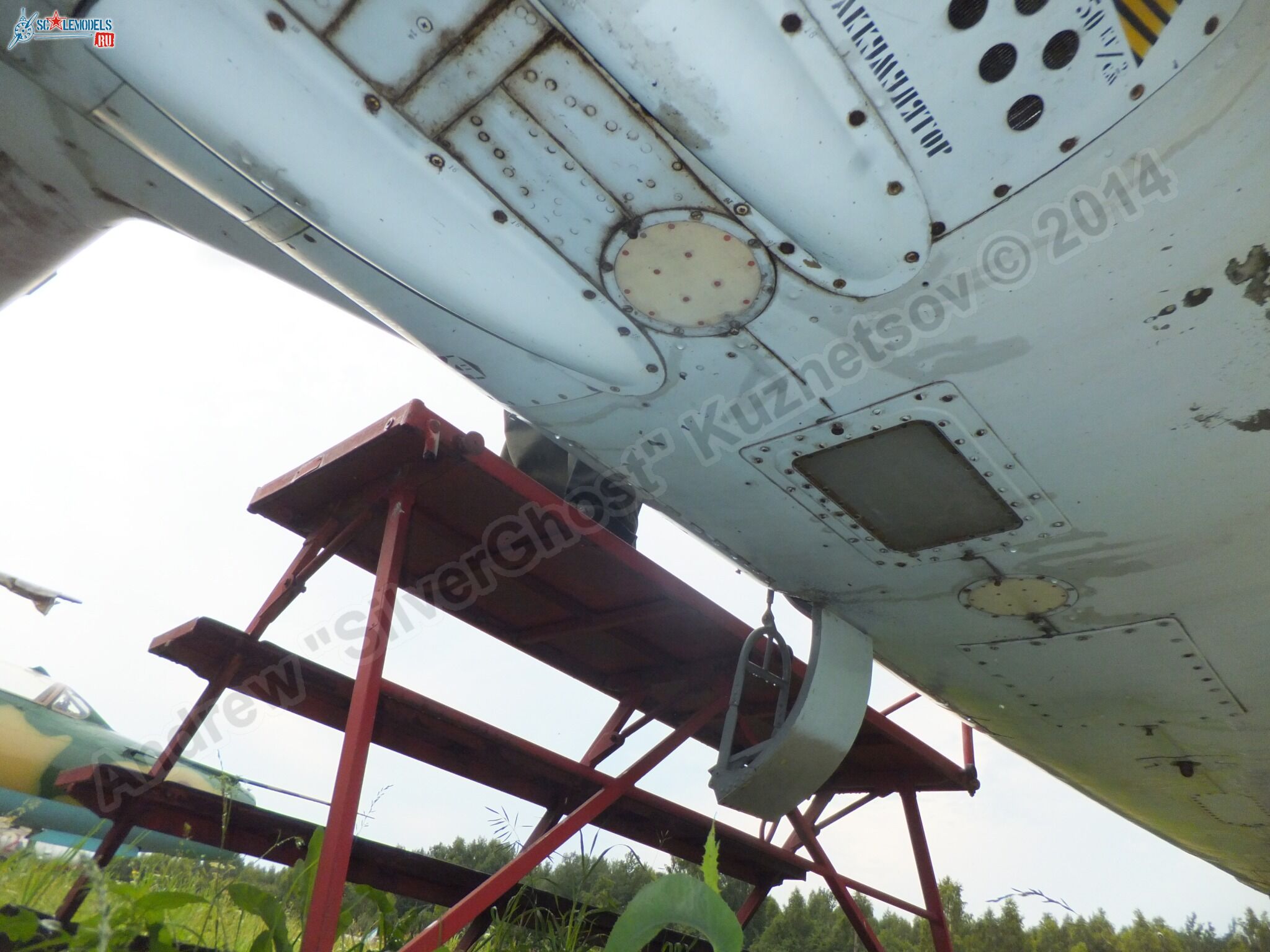 L-39_Albatros_120_0162.jpg