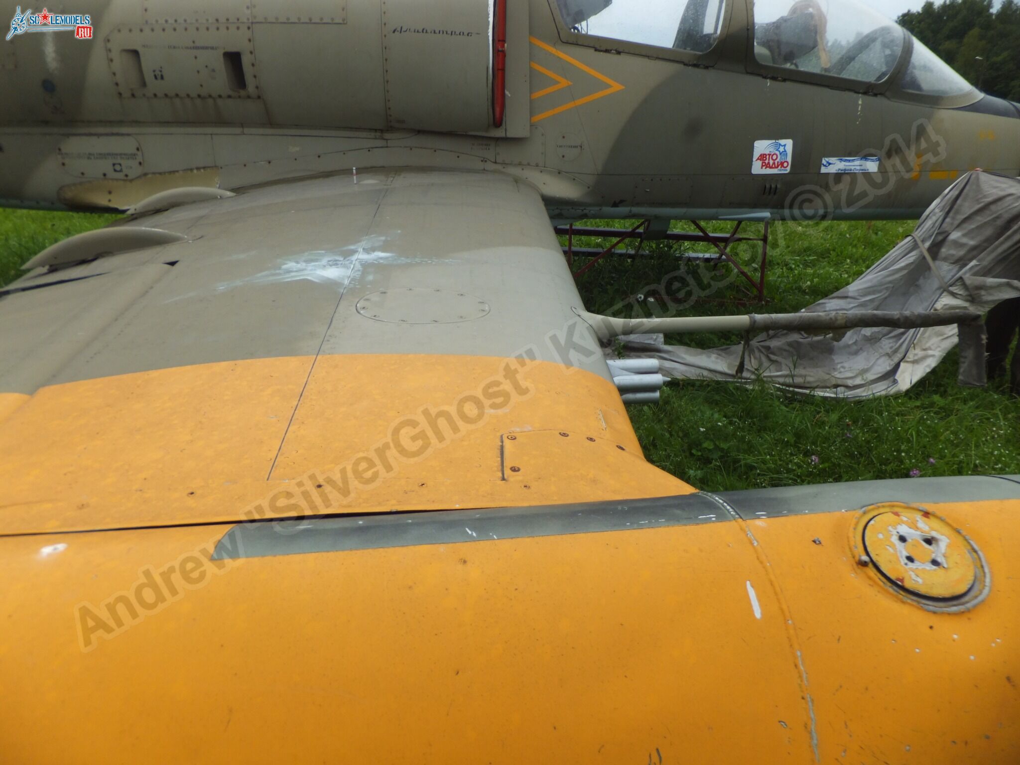 L-39_Albatros_120_0170.jpg