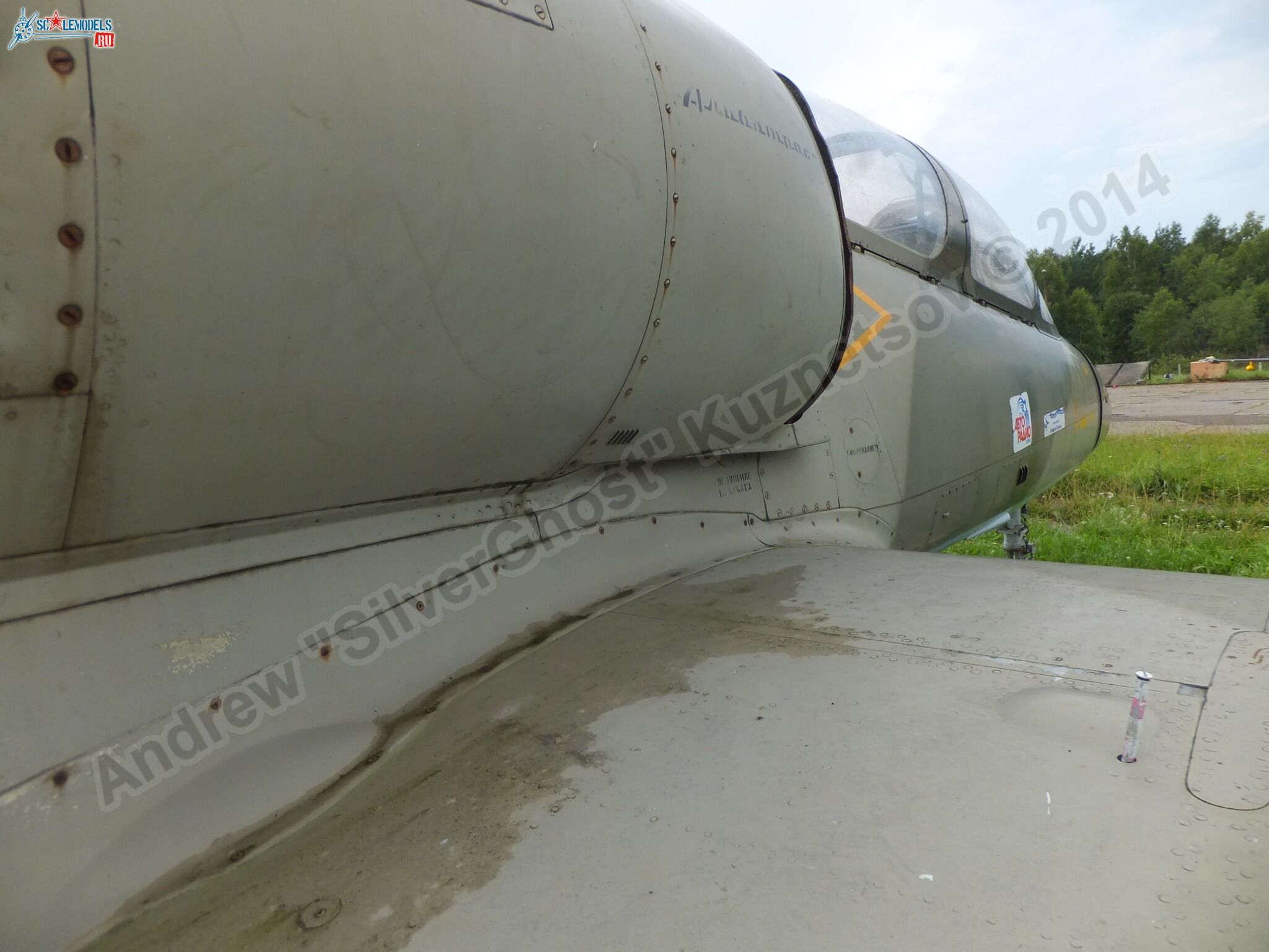 L-39_Albatros_120_0186.jpg
