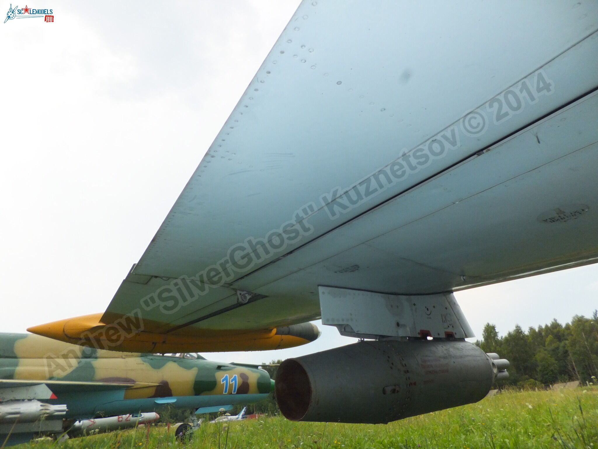 L-39_Albatros_120_0239.jpg