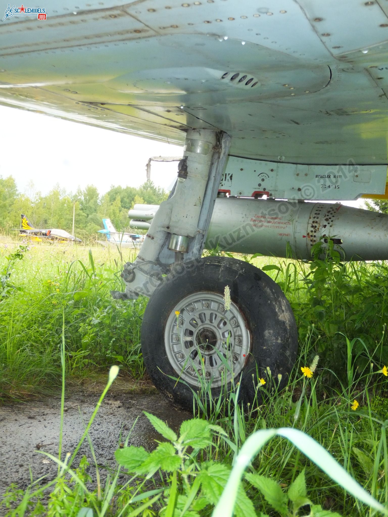 L-39_Albatros_120_0242.jpg