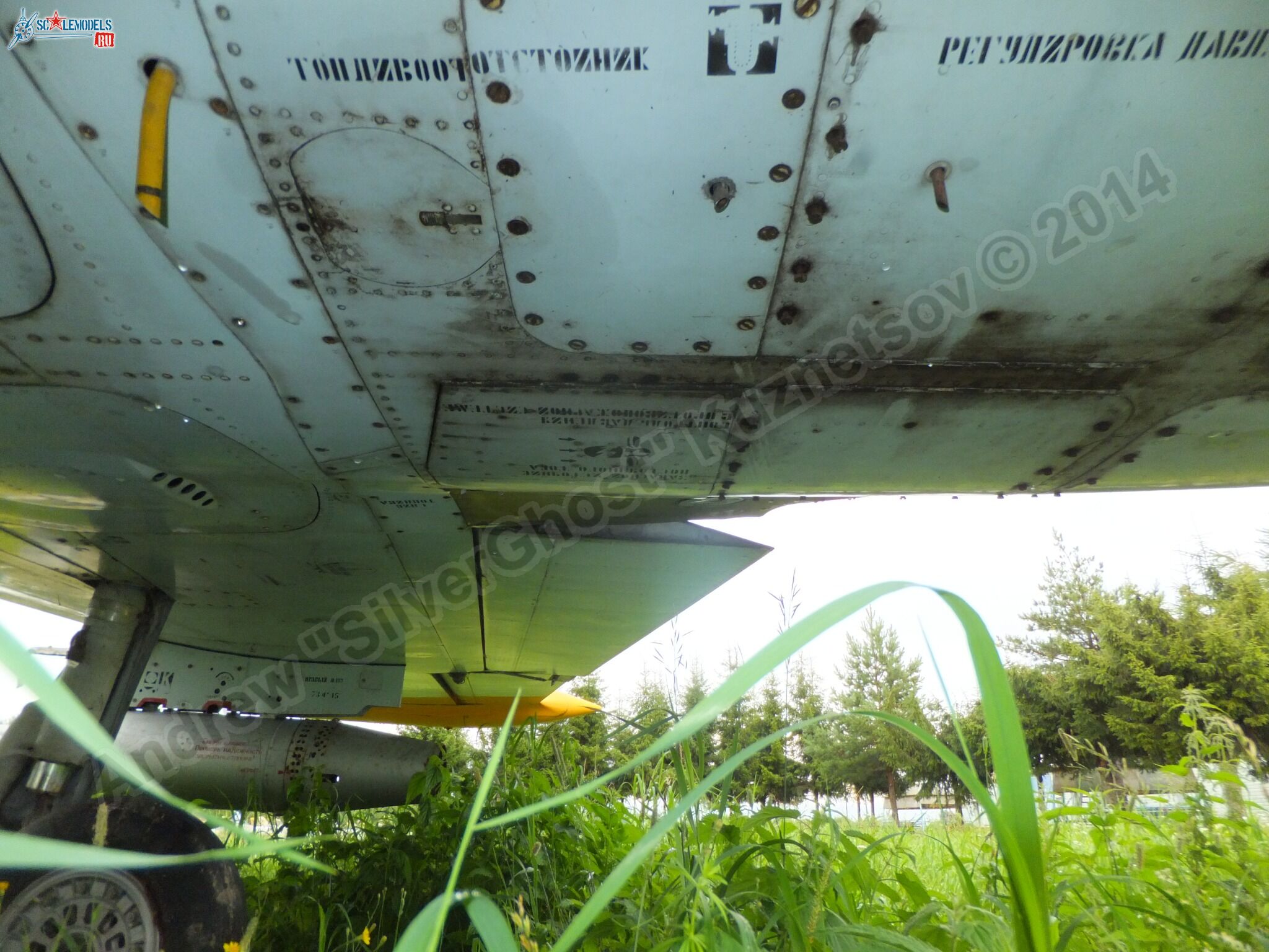 L-39_Albatros_120_0244.jpg