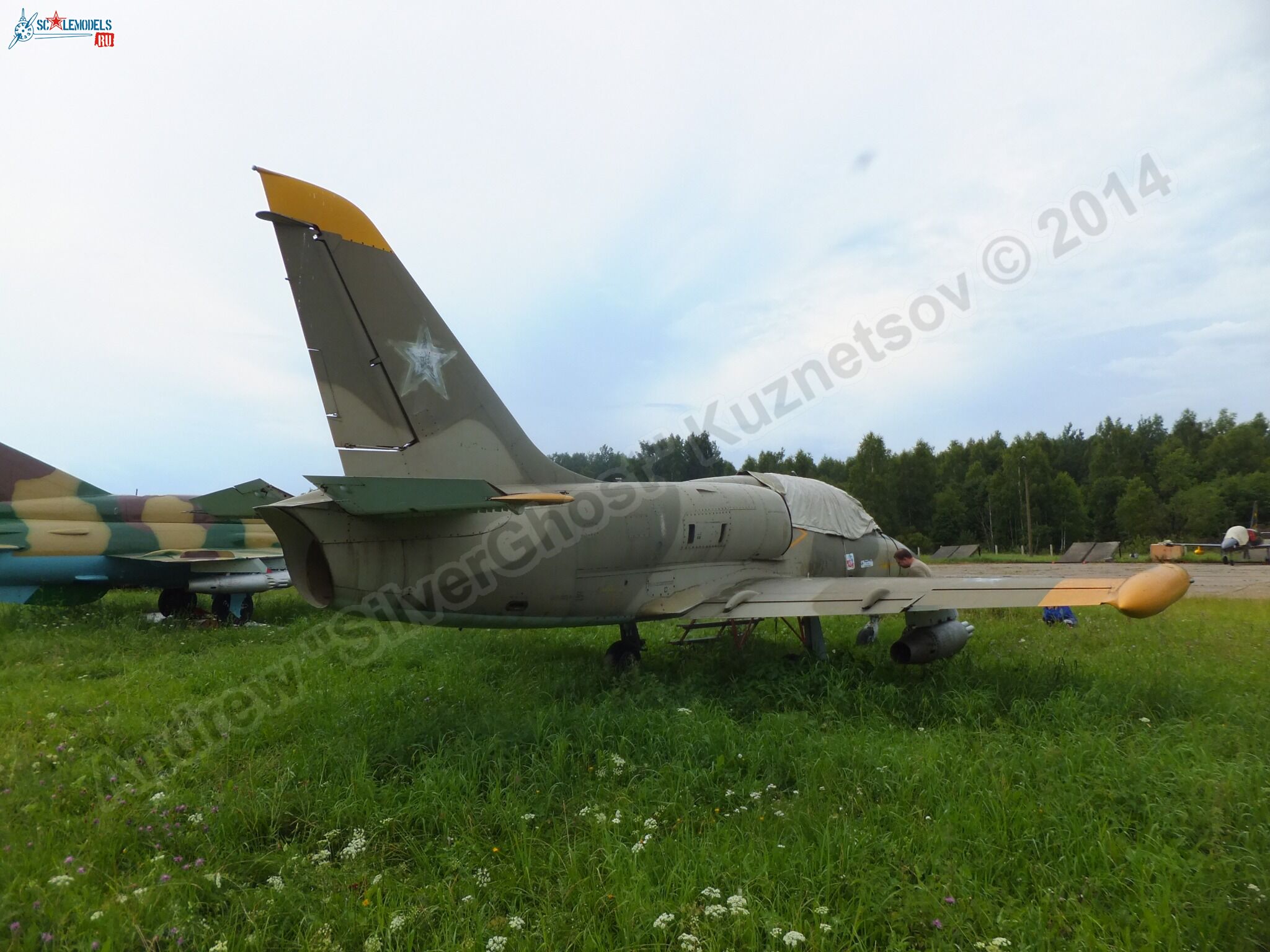 L-39_Albatros_120_0248.jpg