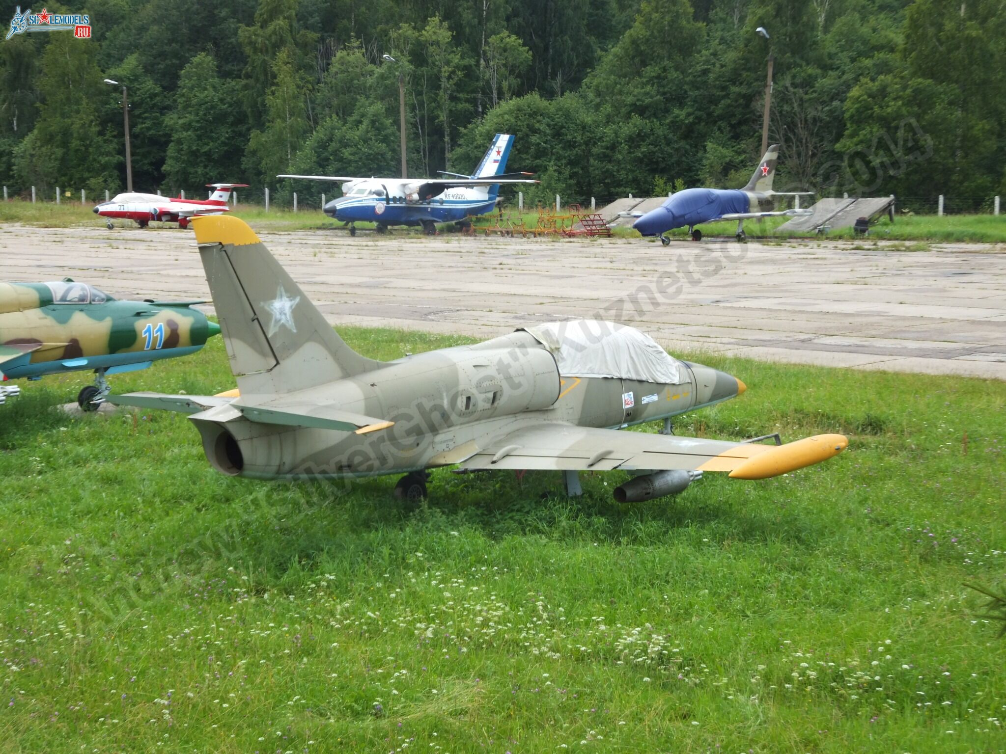 L-39_Albatros_120_0252.jpg