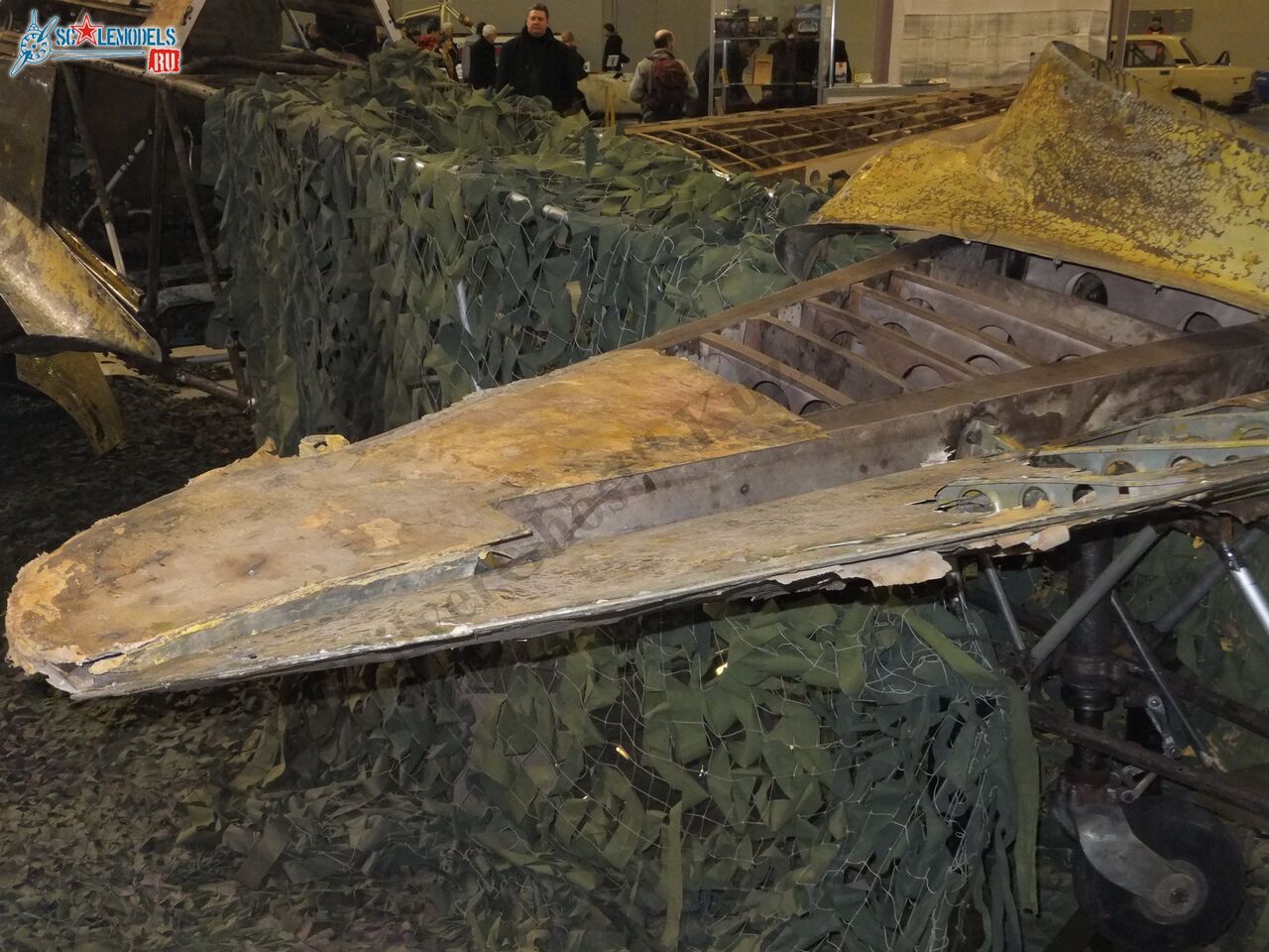DSCF6548.JPG