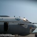SL275542.jpg