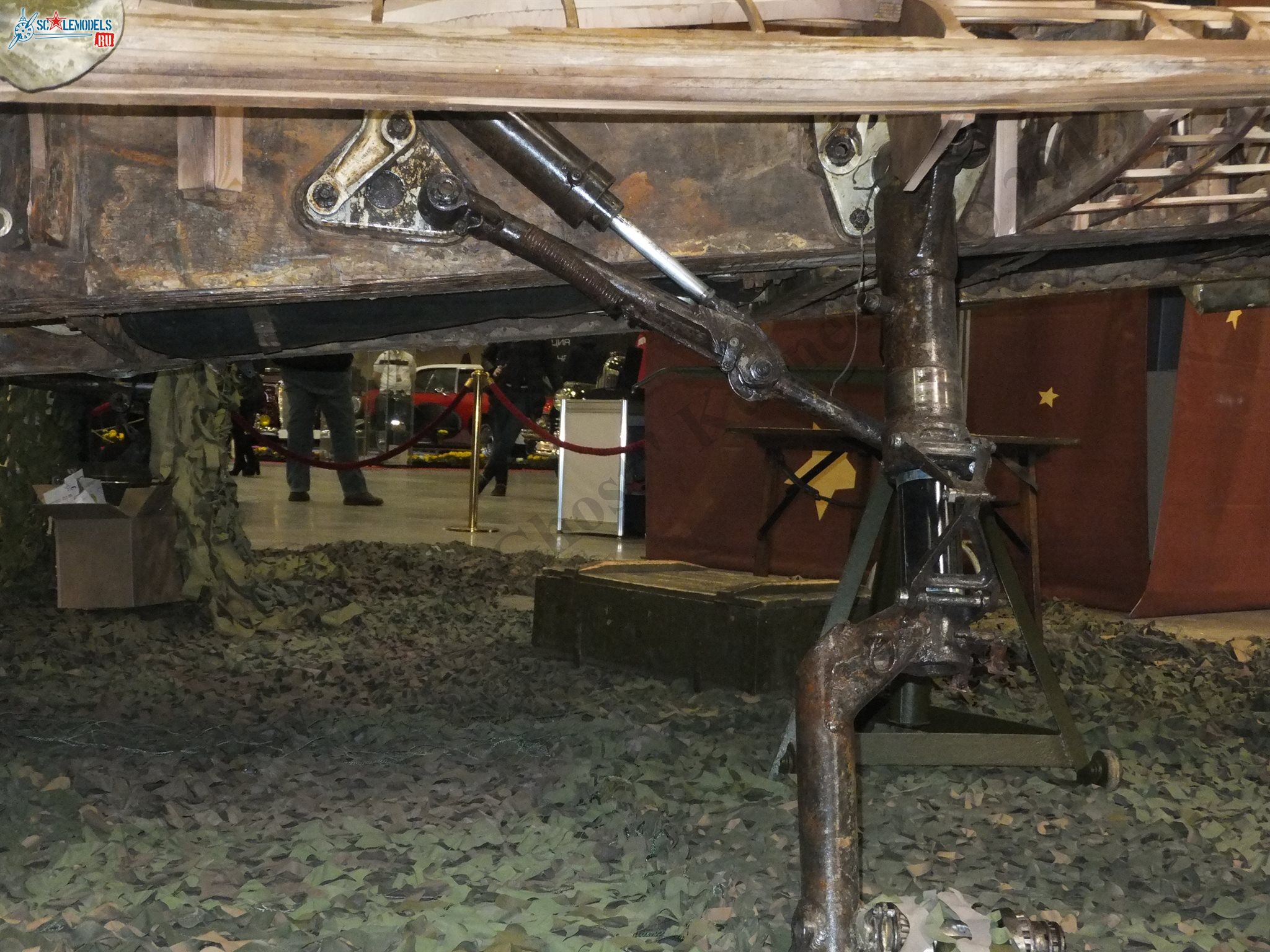 DSCF6481.JPG