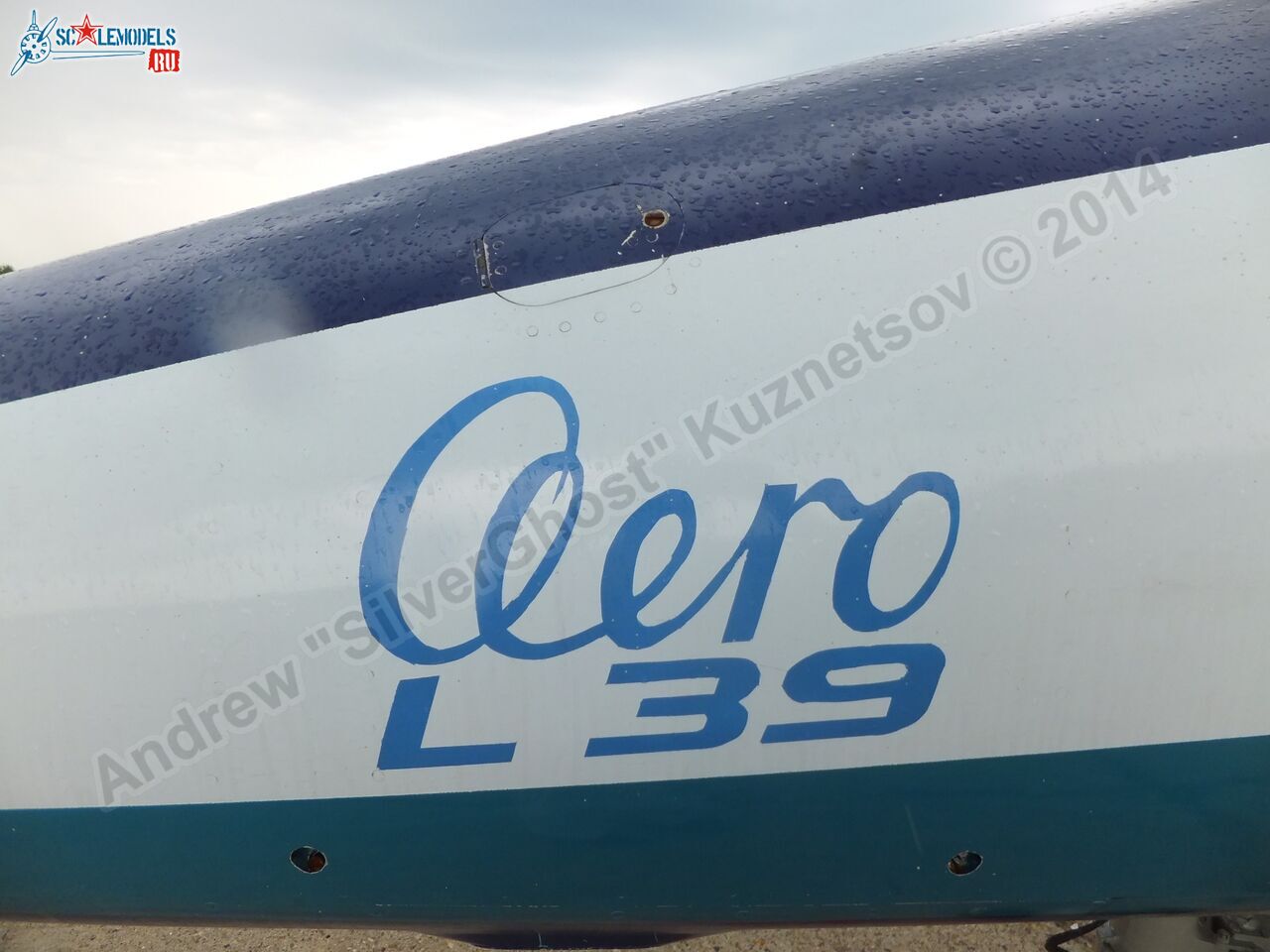 L-39_Albatros_RF-49818_0014.jpg