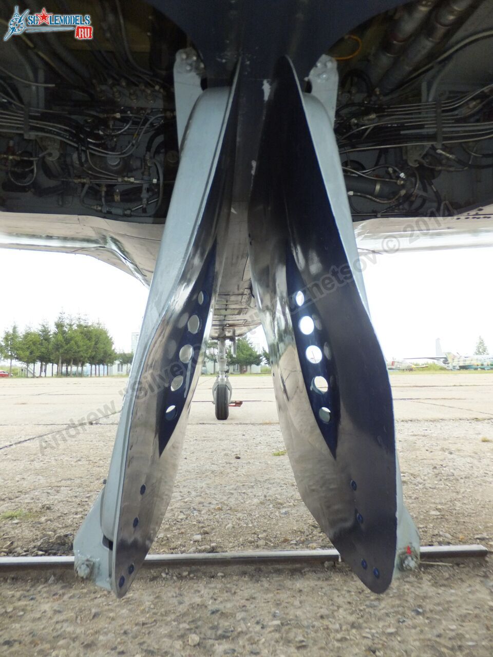 L-39_Albatros_RF-49818_0068.jpg