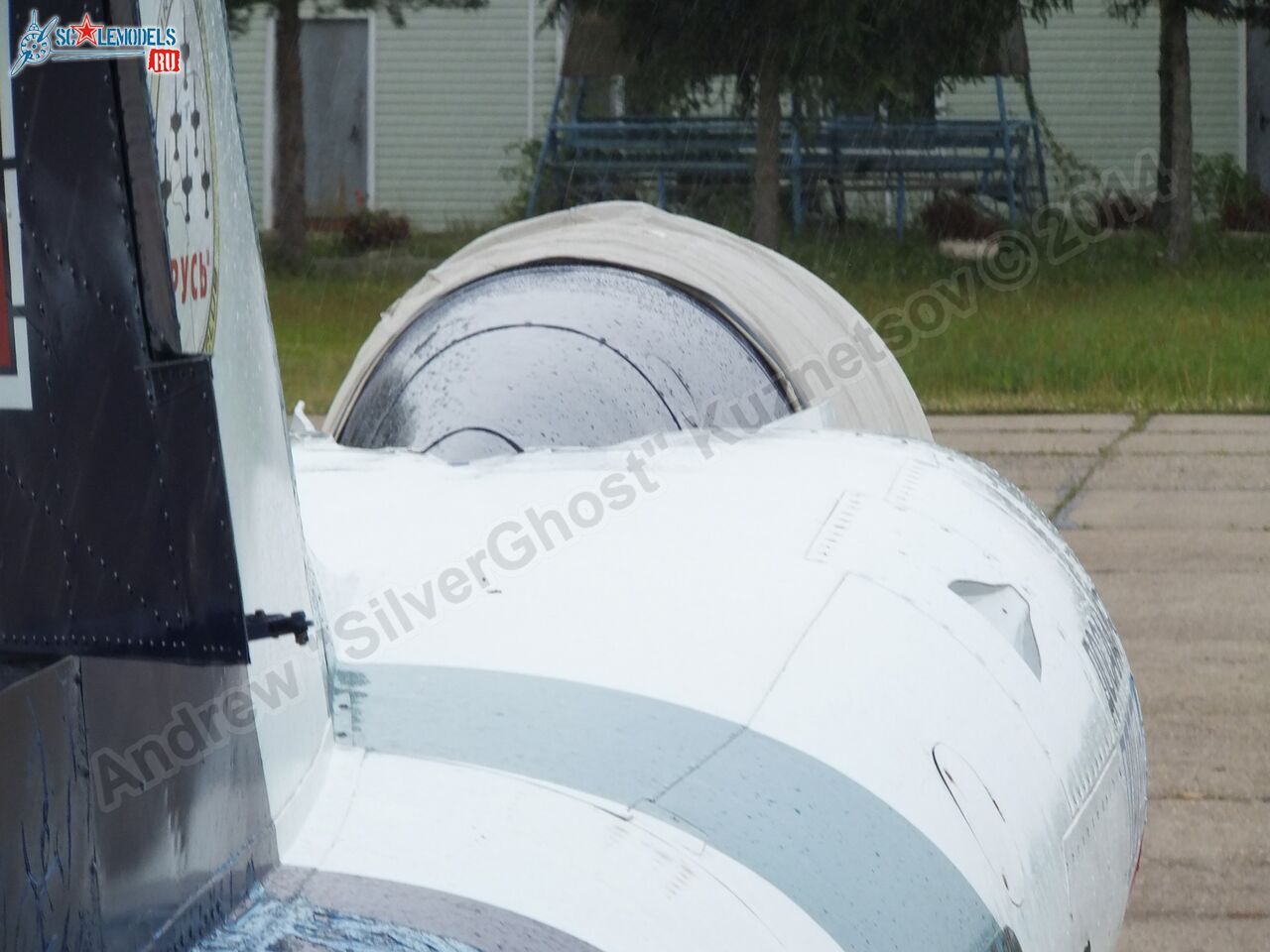 L-39_Albatros_RF-49818_0095.jpg