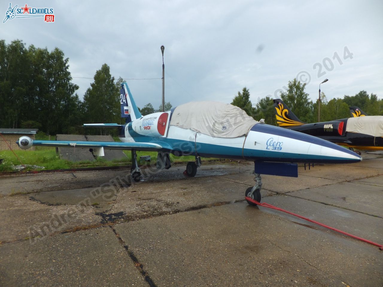 L-39_Albatros_RF-49818_0096.jpg