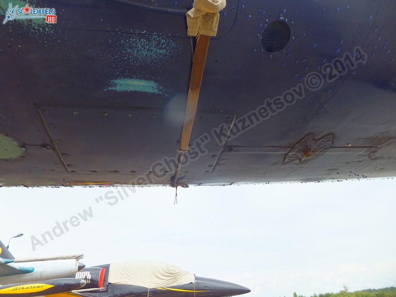 L-39_Albatros_RF-49818_0111.jpg