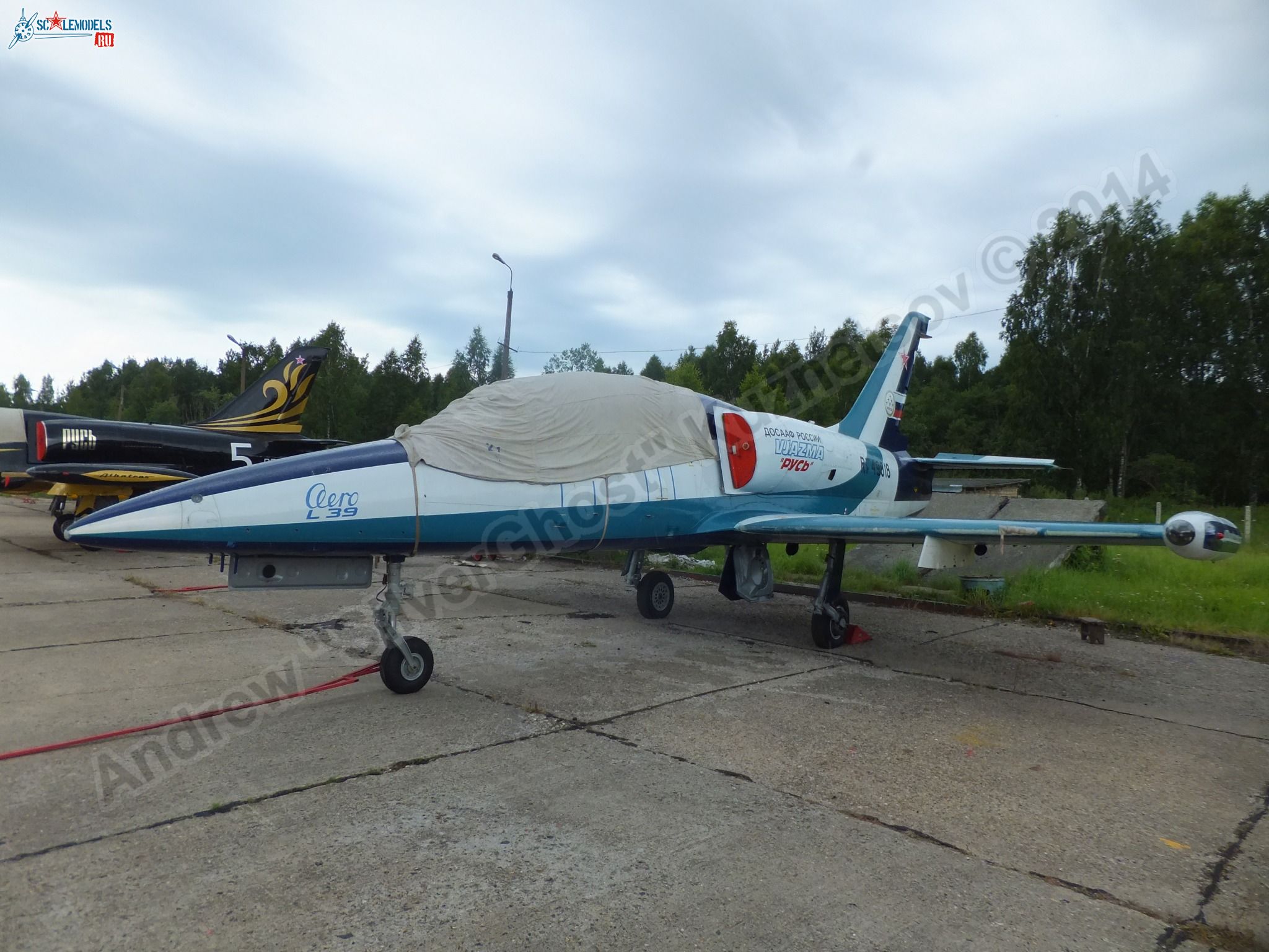 L-39_Albatros_RF-49818_0007.jpg