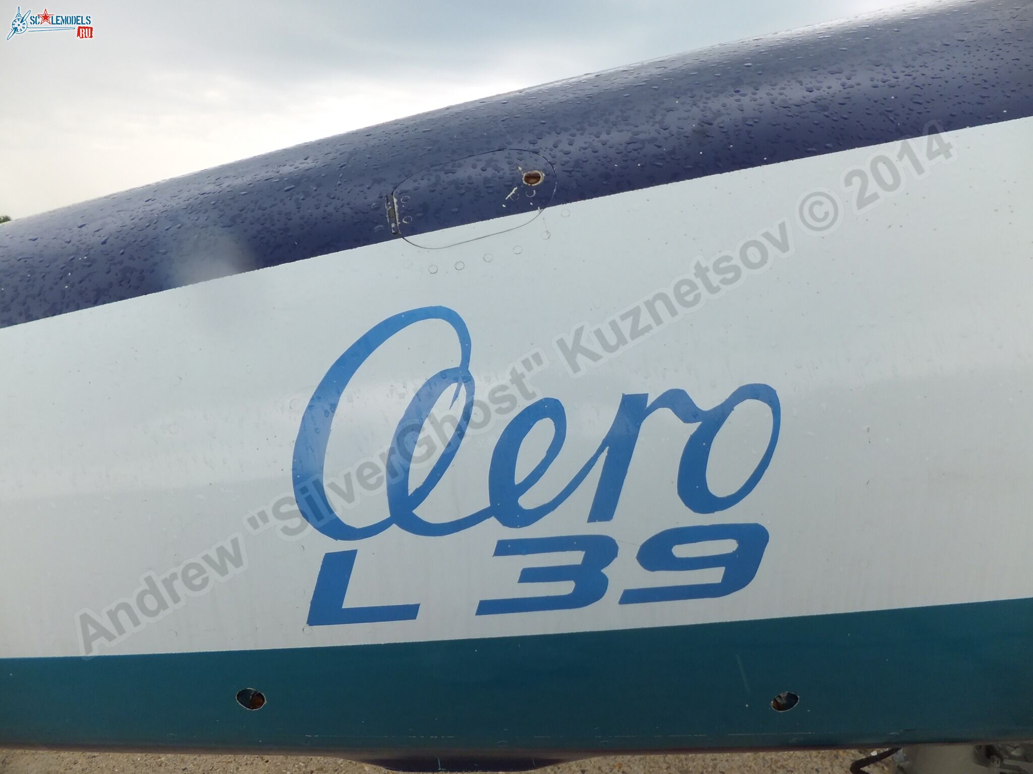 L-39_Albatros_RF-49818_0014.jpg