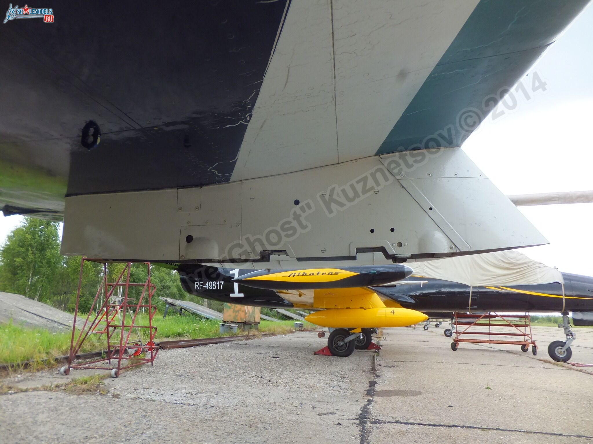L-39_Albatros_RF-49818_0039.jpg