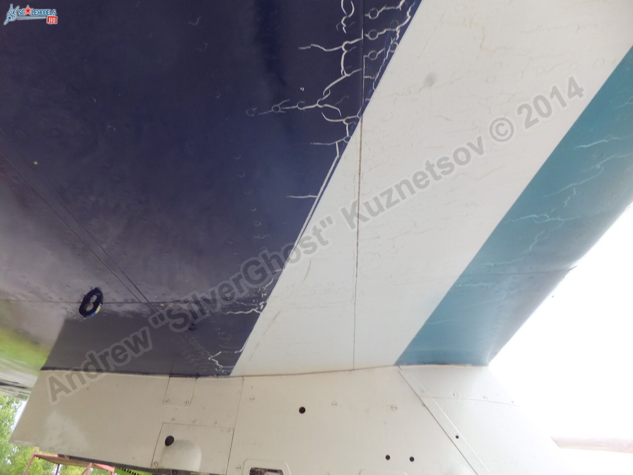 L-39_Albatros_RF-49818_0040.jpg