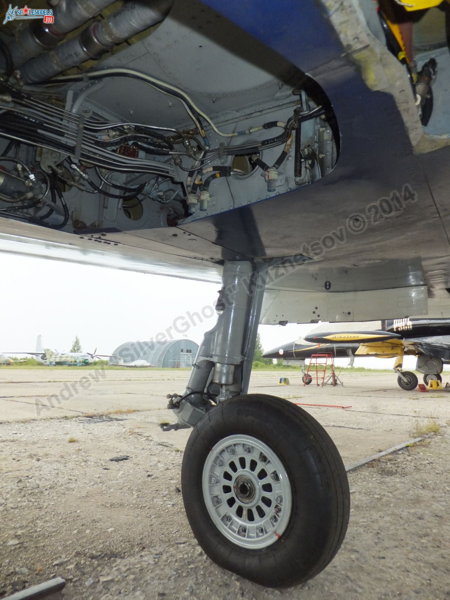 L-39_Albatros_RF-49818_0065.jpg