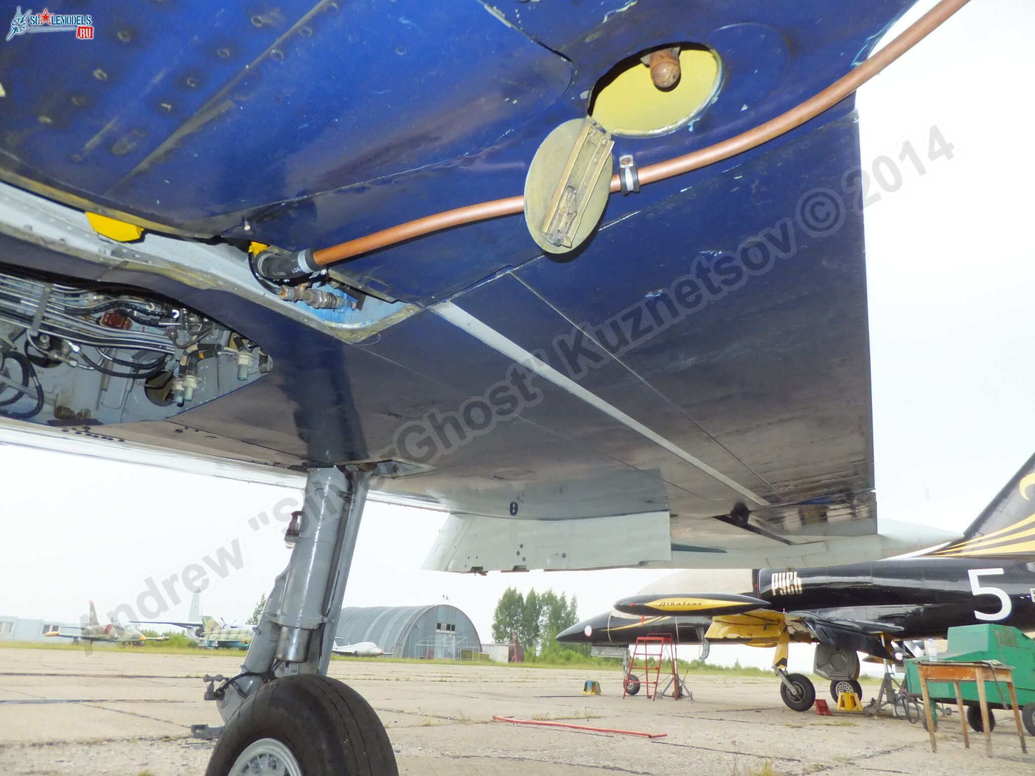 L-39_Albatros_RF-49818_0071.jpg
