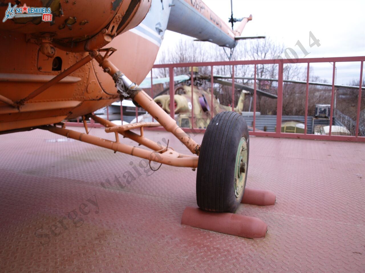 PB100976.JPG