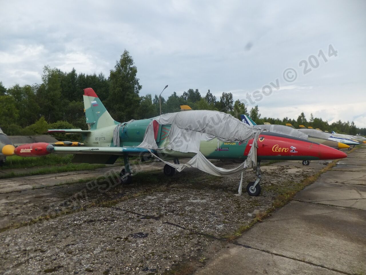 Old_L-39s_0000.jpg