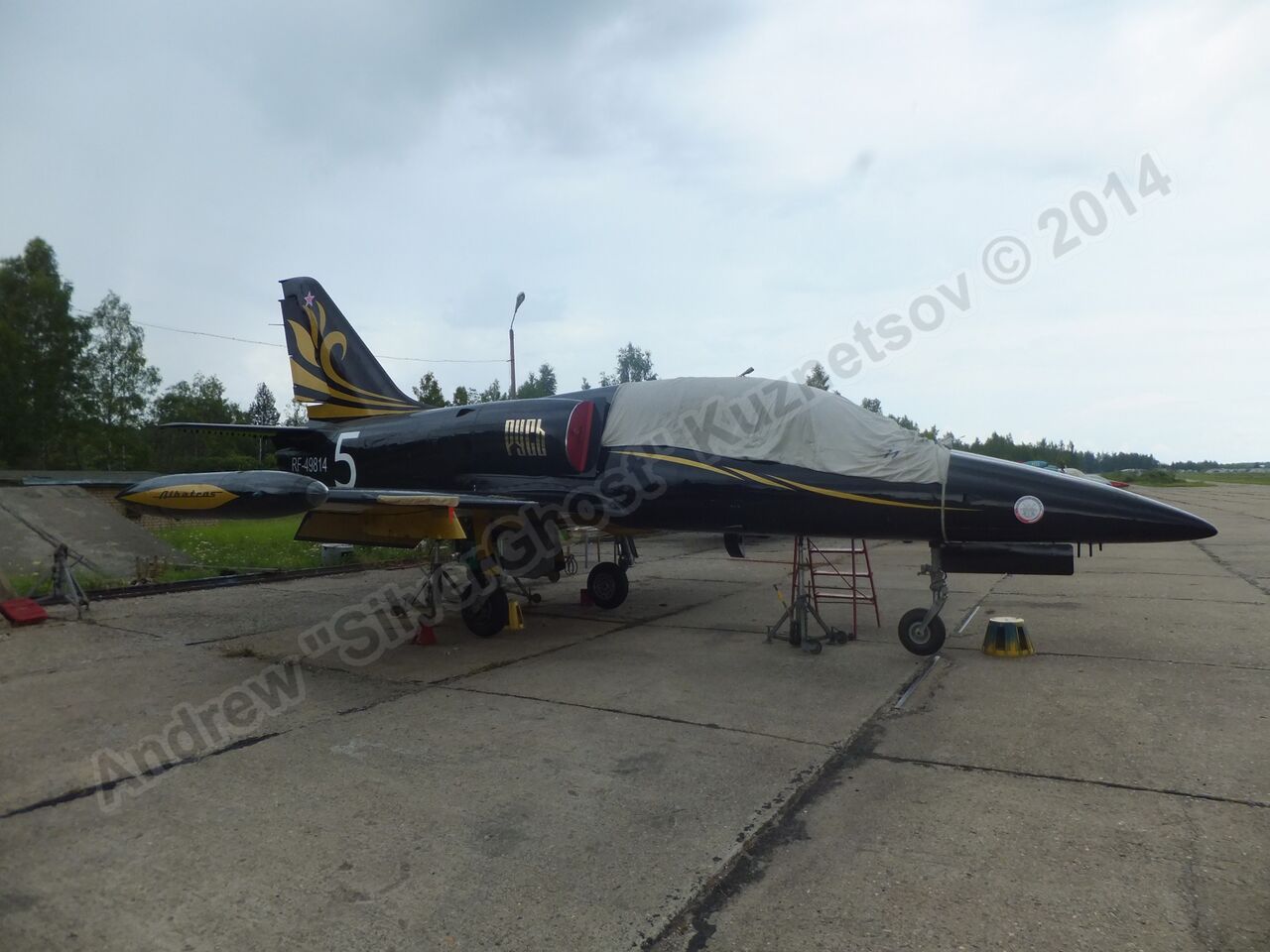Old_L-39s_0007.jpg