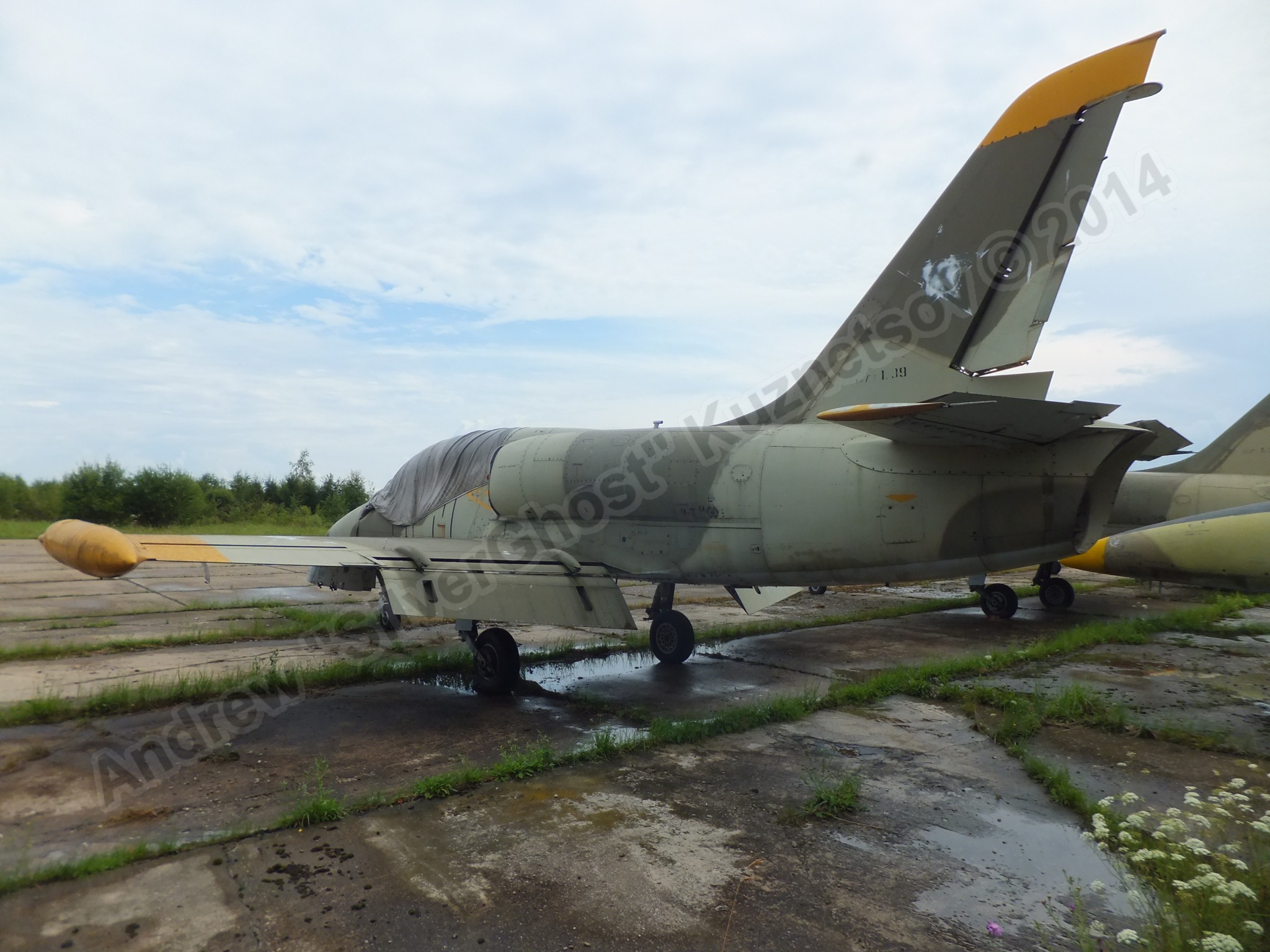 Old_L-39s_0094.jpg