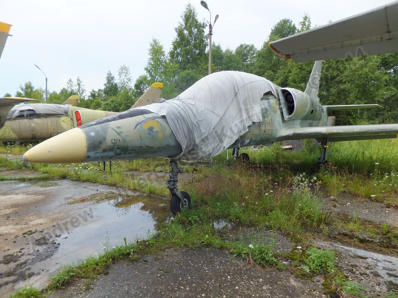Old_L-39s_0095.jpg