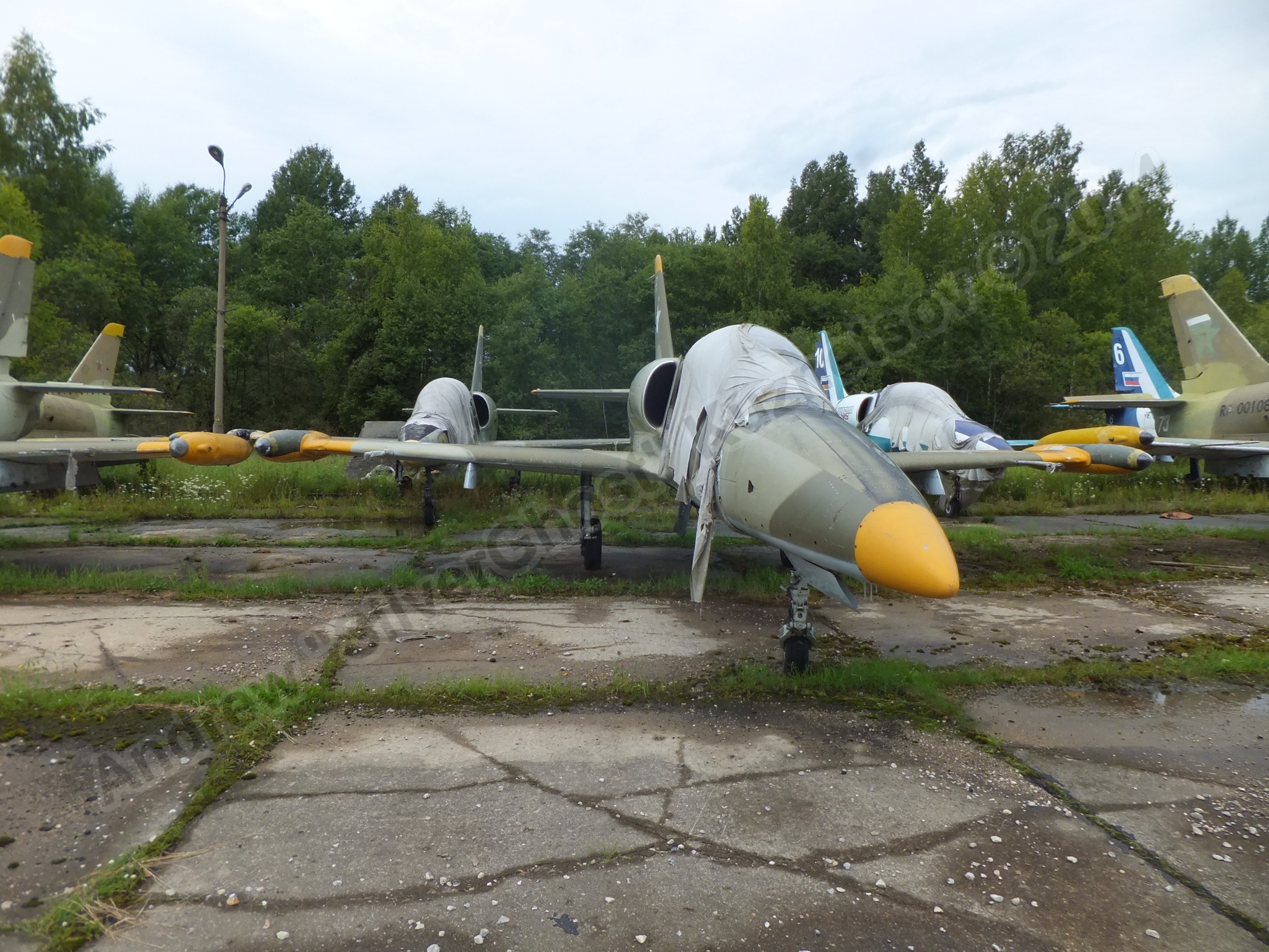 Old_L-39s_0099.jpg