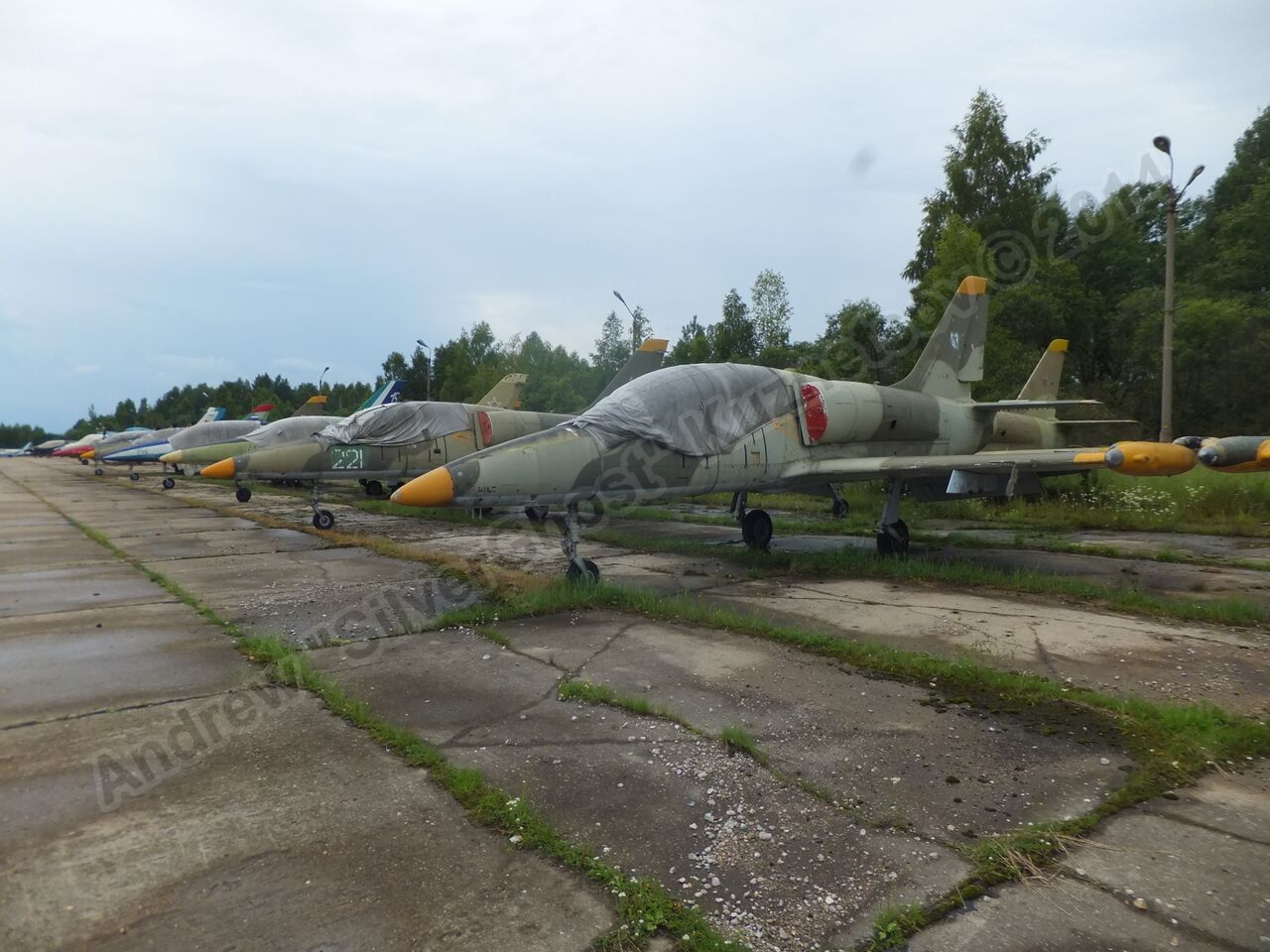 Old_L-39s_0100.jpg