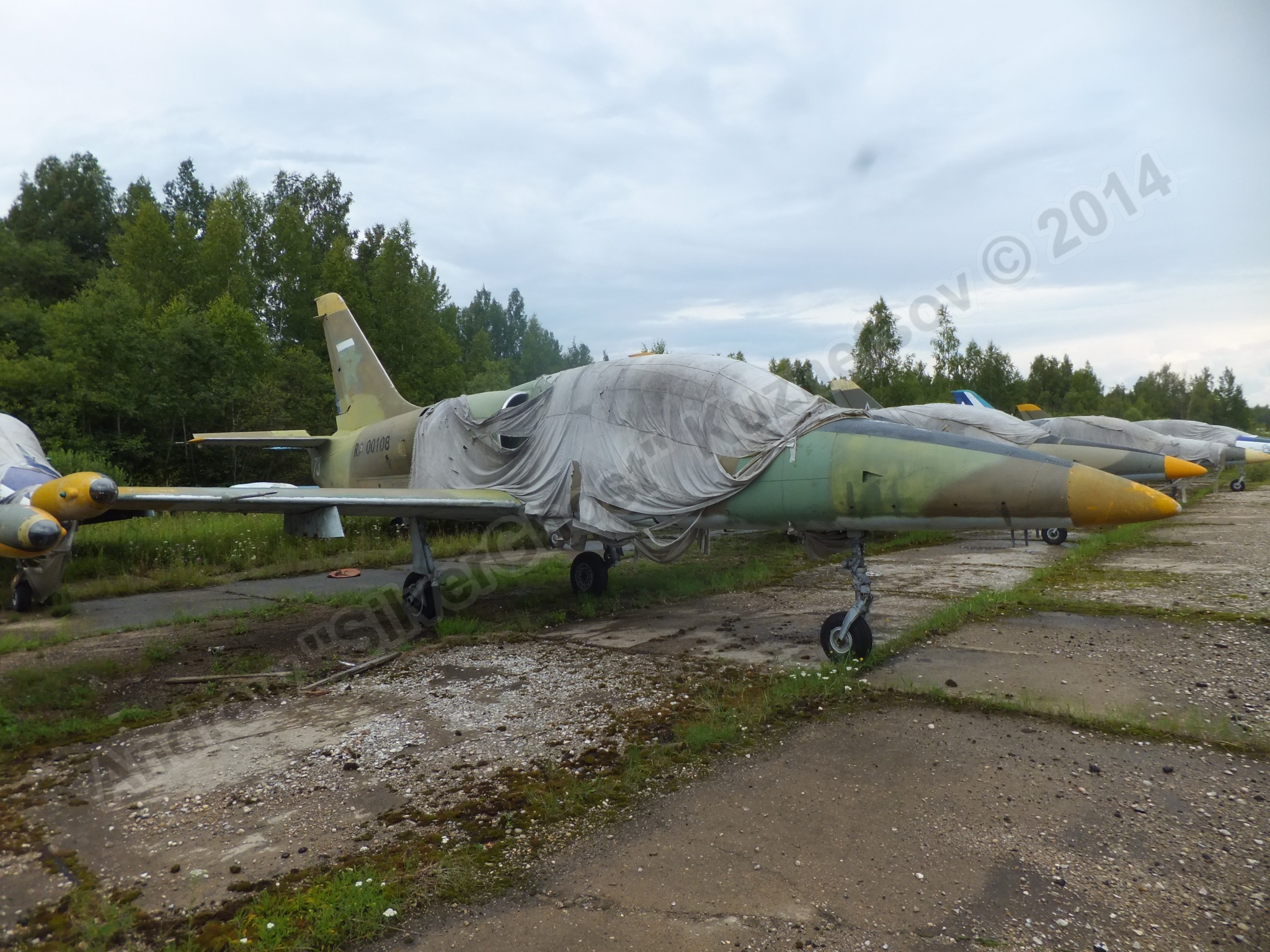 Old_L-39s_0101.jpg