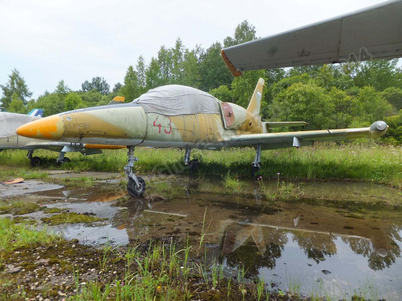 Old_L-39s_0140.jpg
