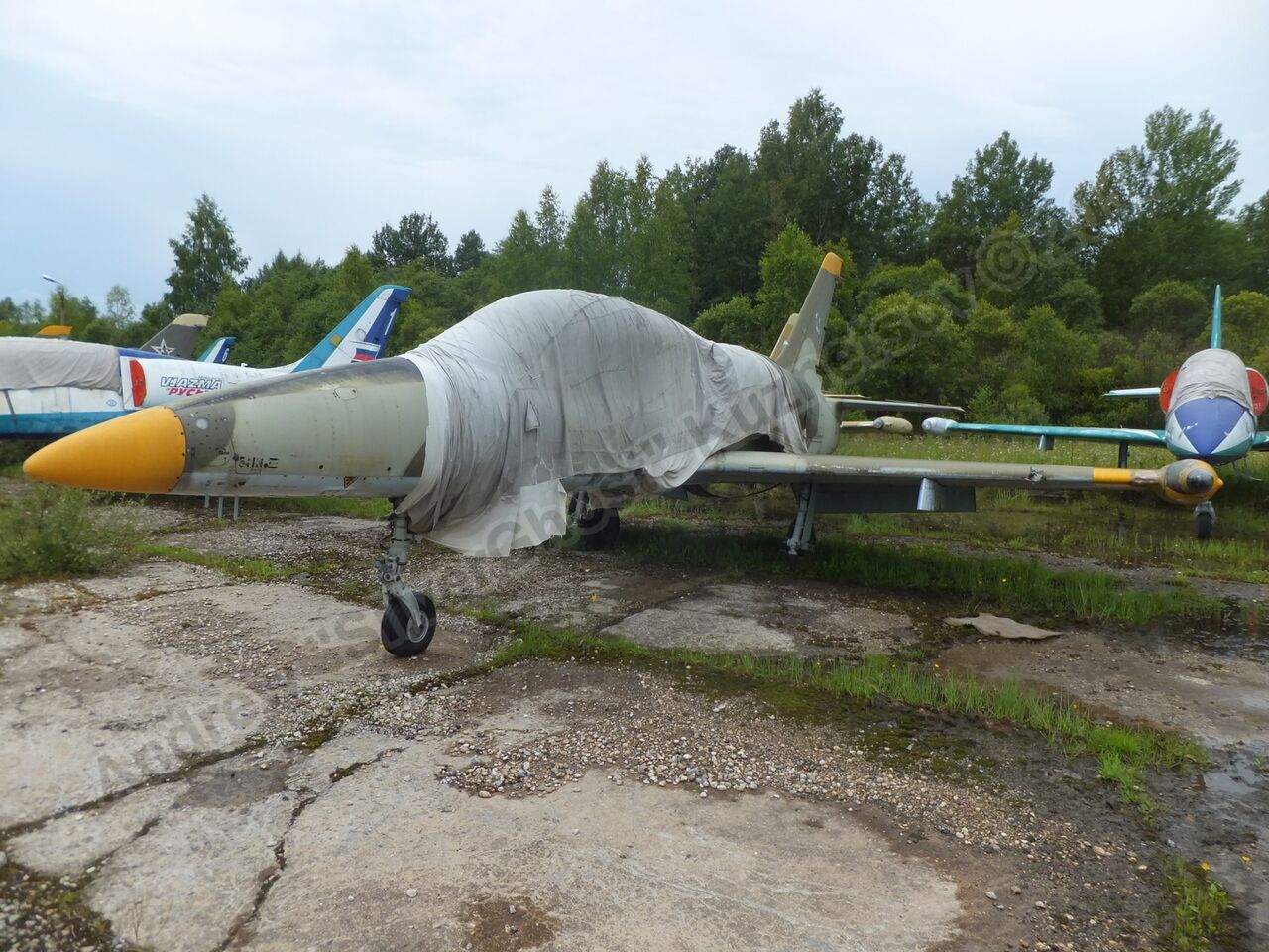 Old_L-39s_0146.jpg