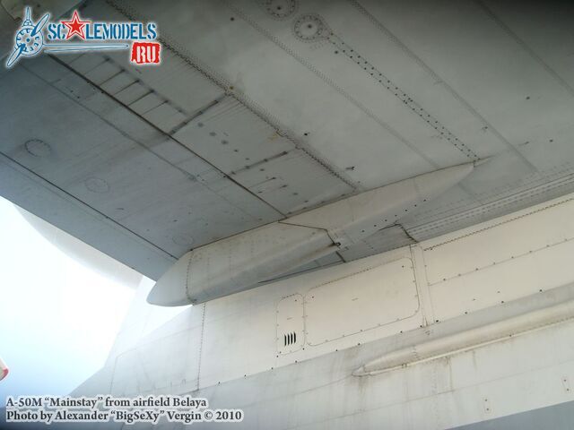 SL275565.jpg