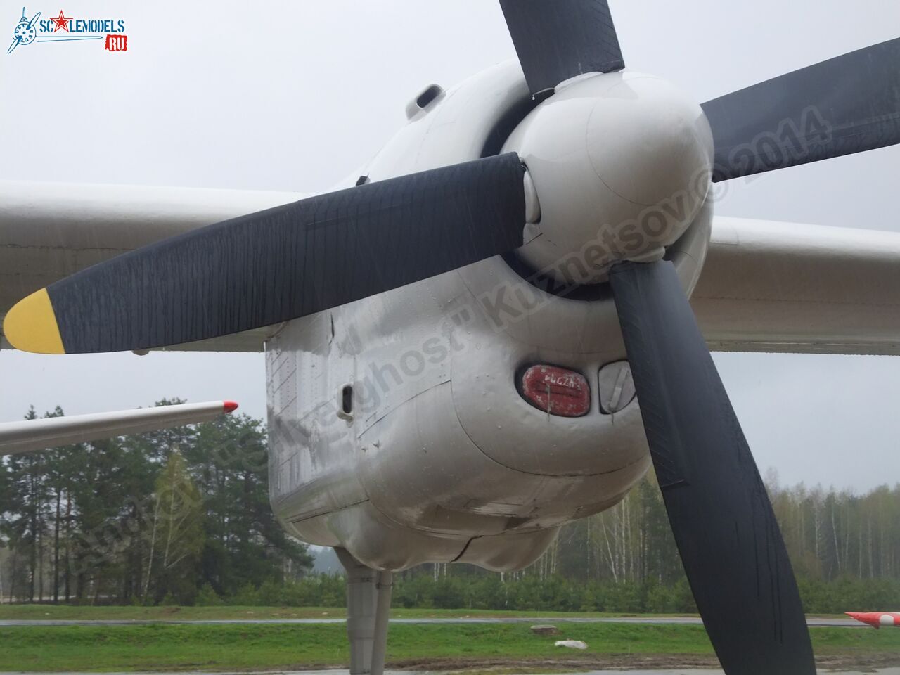 An-24RV_0168.jpg