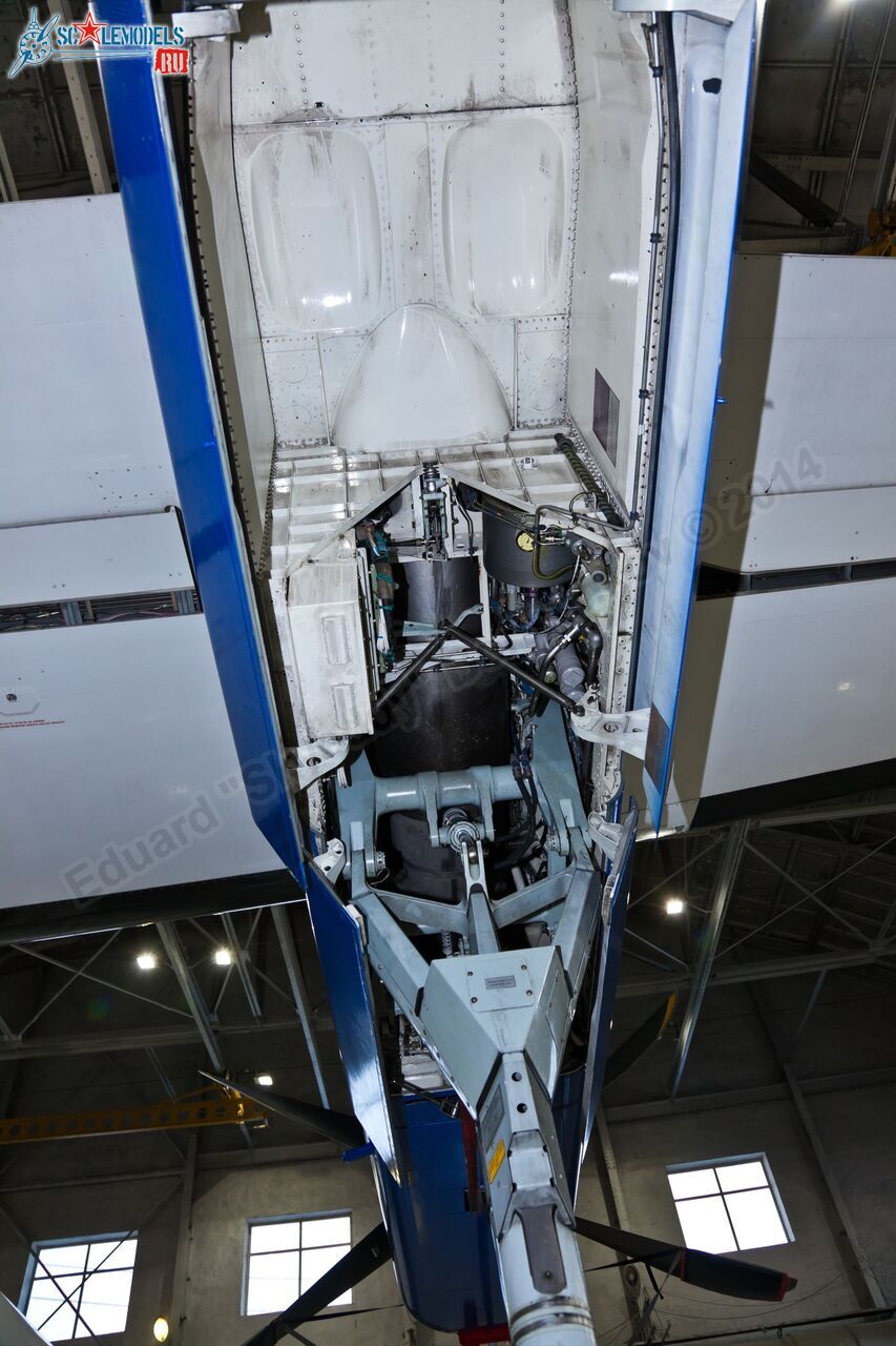 Dash_8_VP-BKD_0065.jpg