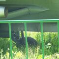 Yak-38_0122.jpg