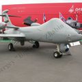 Le Bourget 2011 (333).JPG