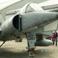 Etendard IVM (22).jpg