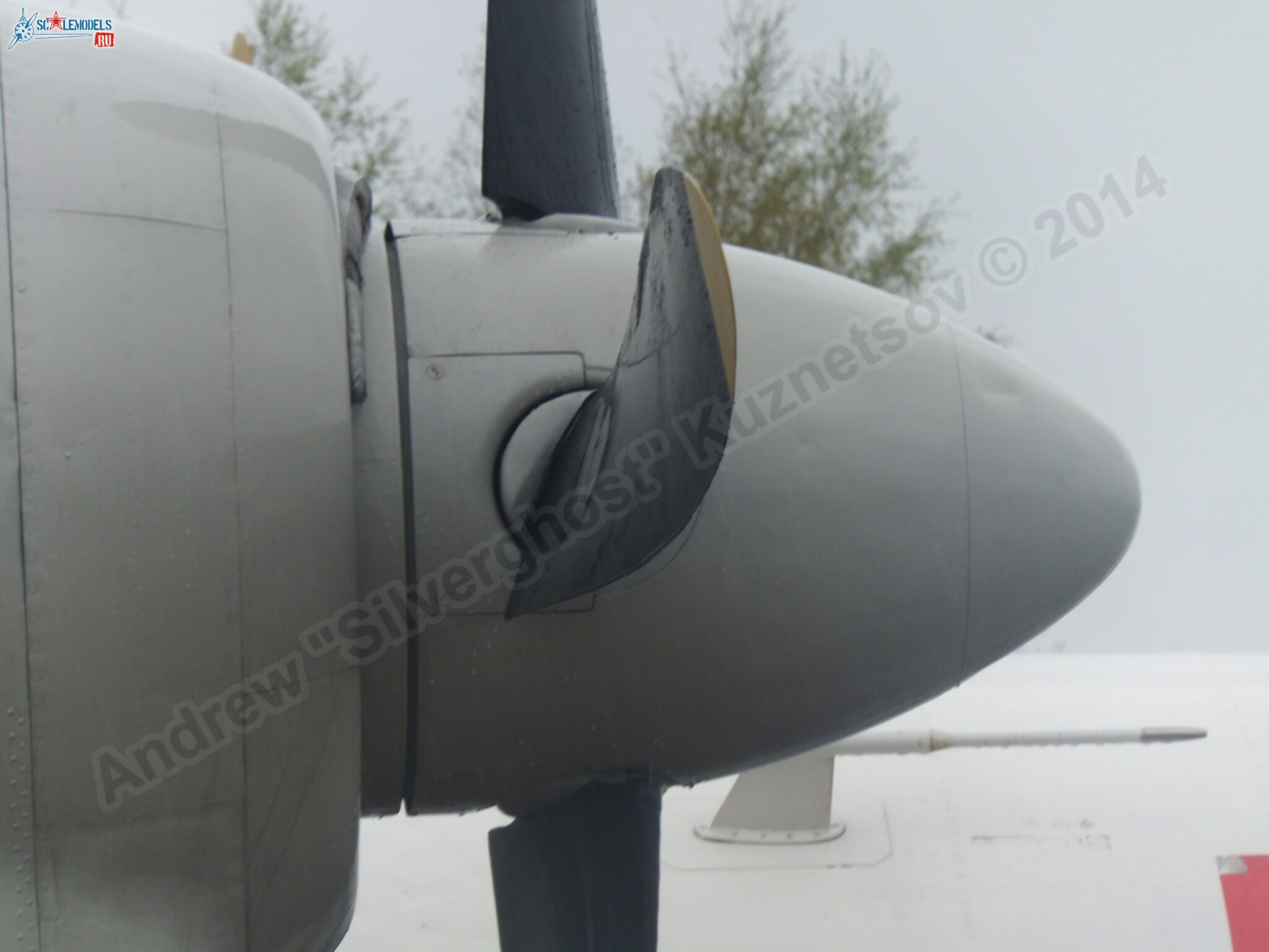An-24RV_0046.jpg