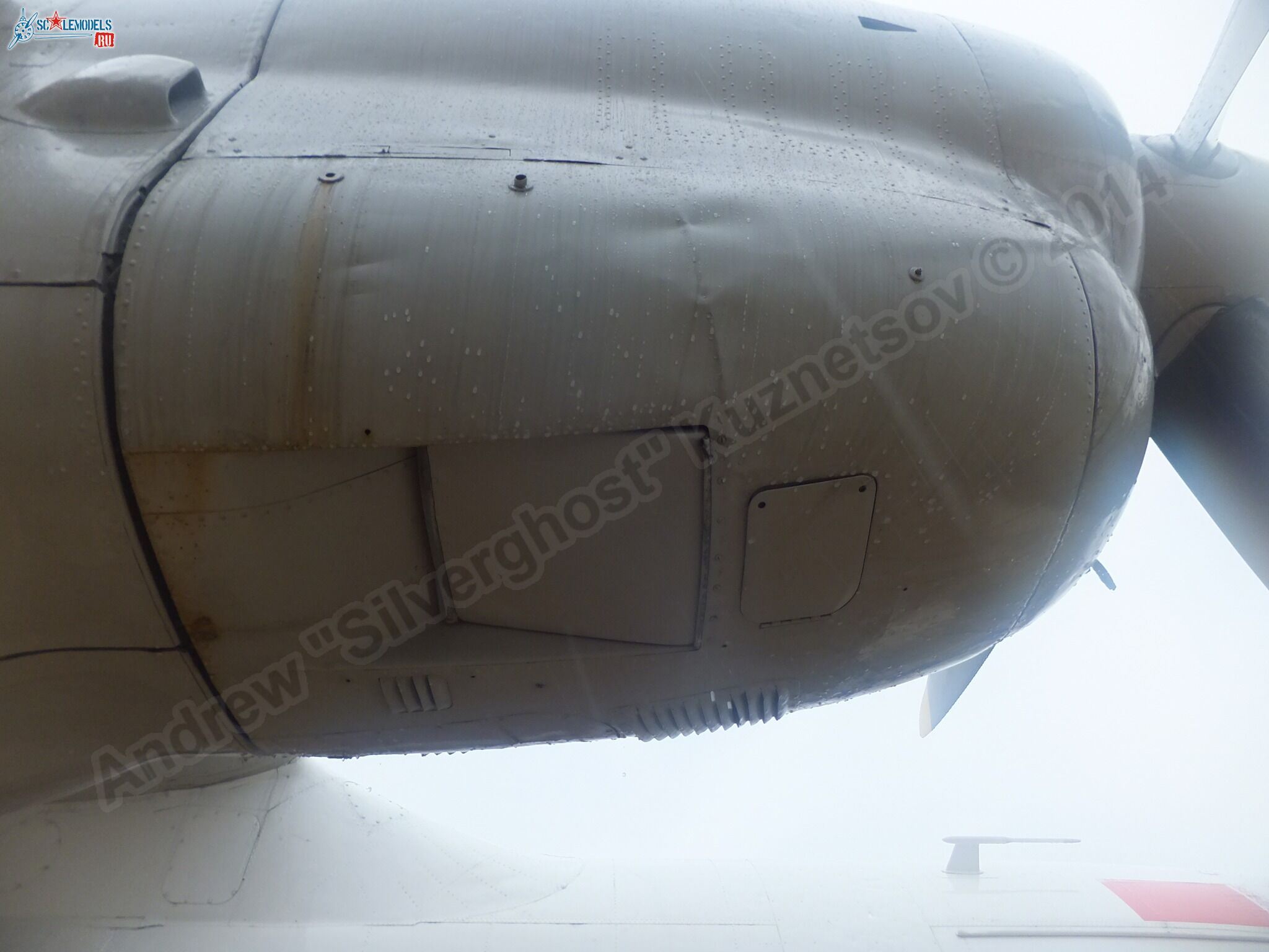 An-24RV_0070.jpg