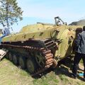 BMP_0081.jpg