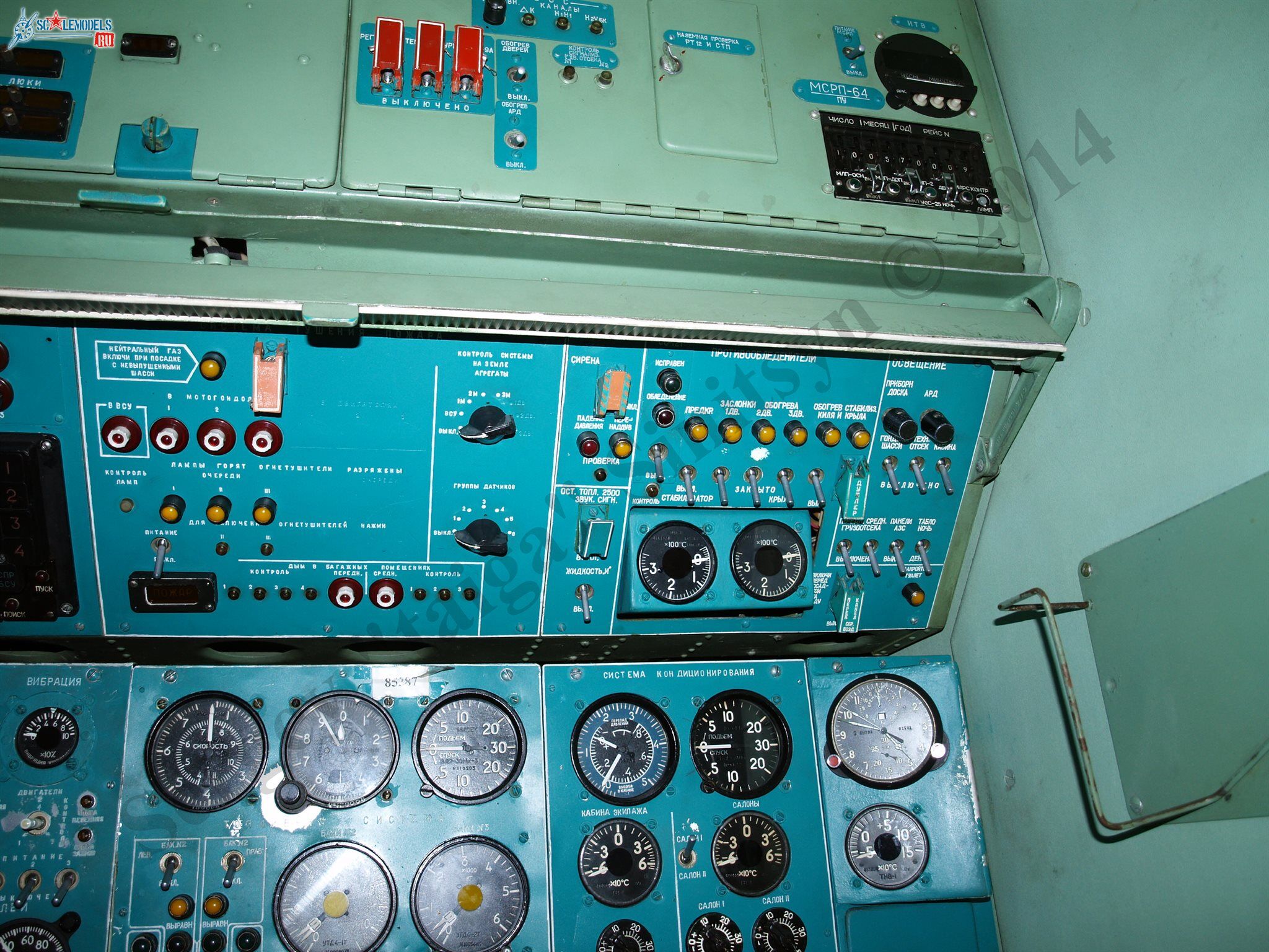 PB101045.JPG