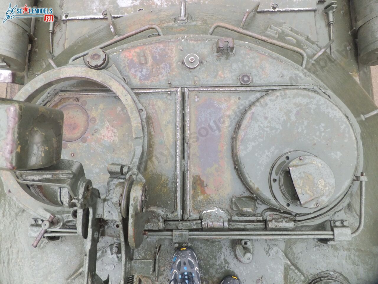 IS-3_0220.jpg