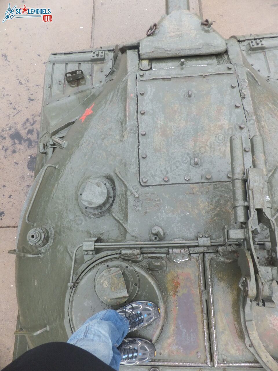 IS-3_0225.jpg