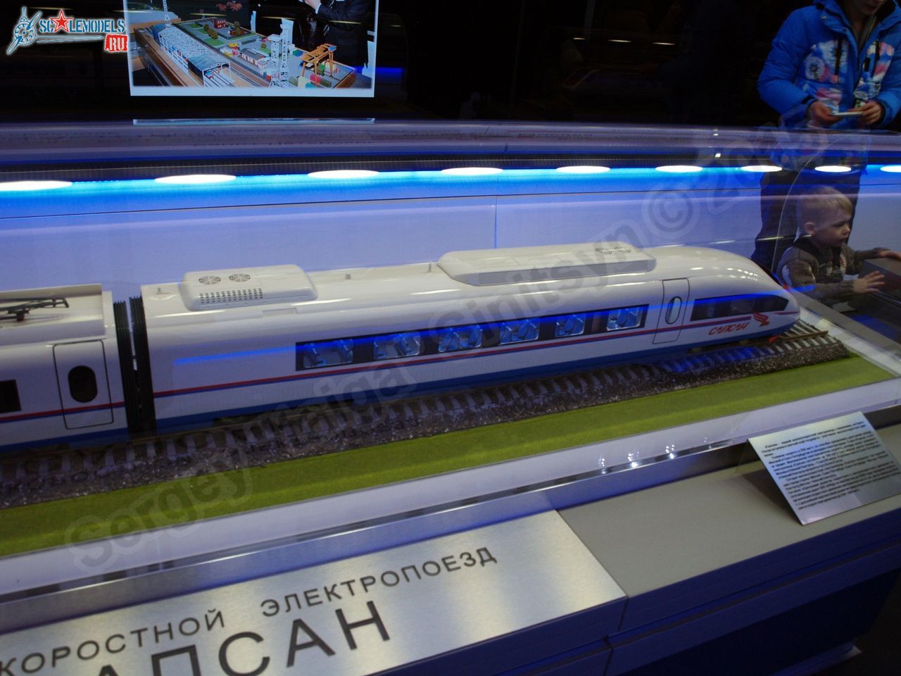 RZhD_exhibition_train_0017.jpg