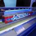 RZhD_exhibition_train_0029.jpg